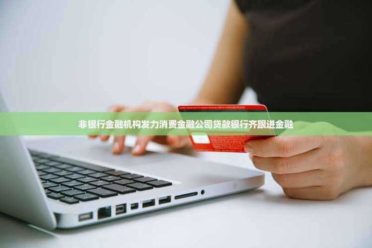 可贷款消费金融