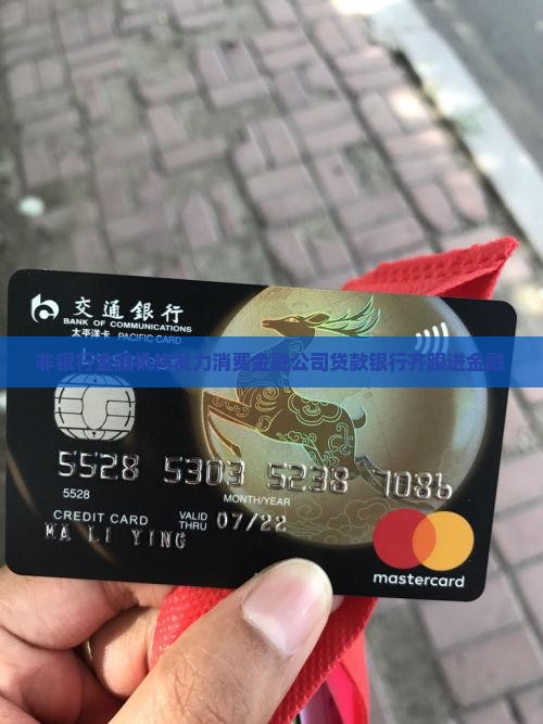 可贷款消费金融