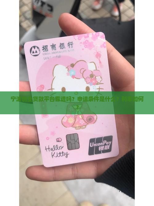宁波创业贷款平台