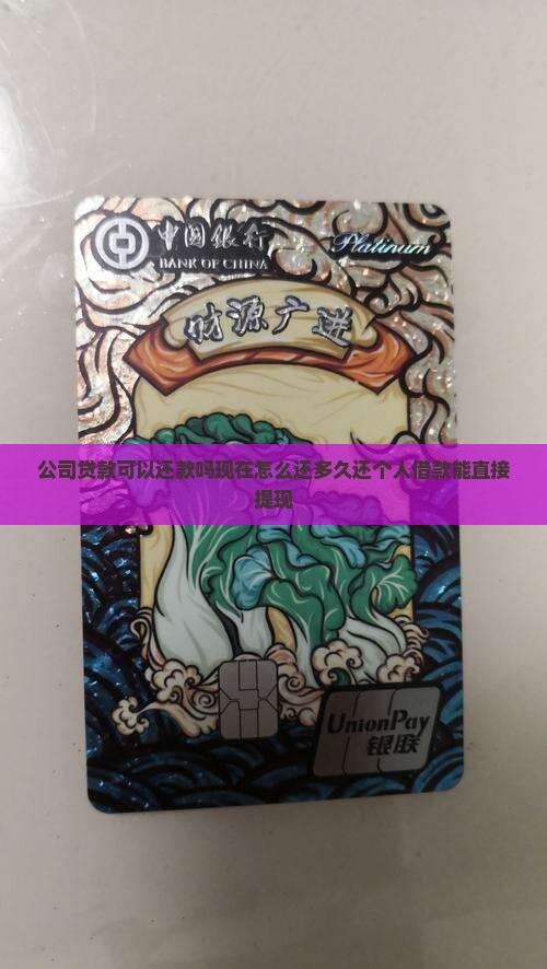 公司贷款可以还款吗