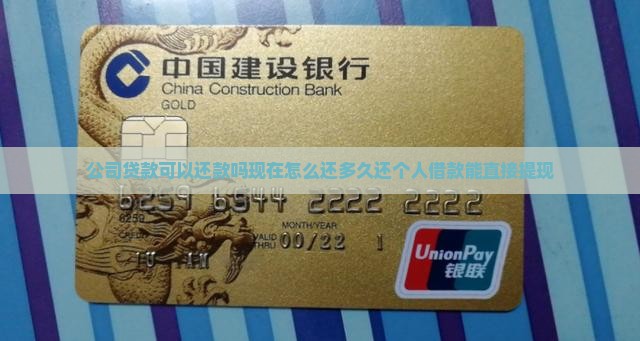 公司贷款可以还款吗
