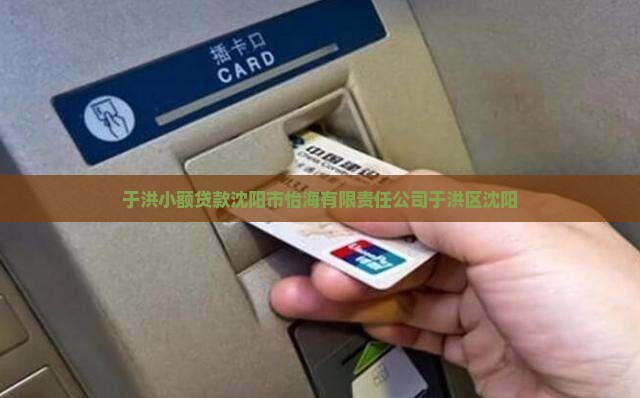 于洪小额贷款