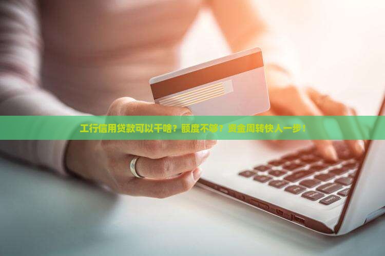 工行信用贷款可以干啥