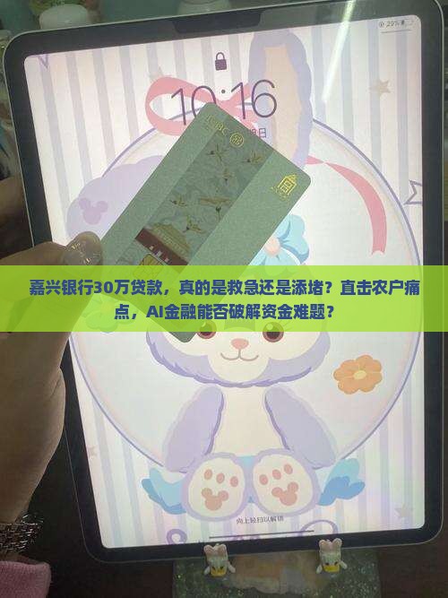 嘉兴银行30万贷款