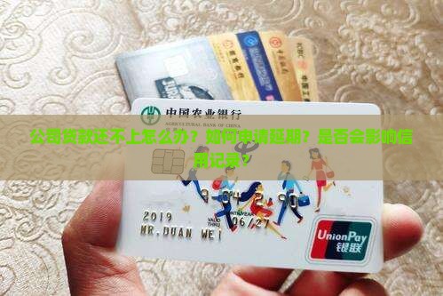 公司贷款还不掉怎么办