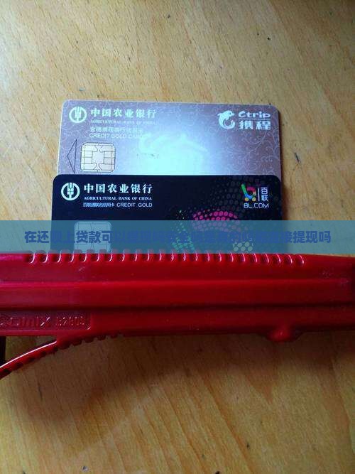 在还呗上贷款可以提现吗