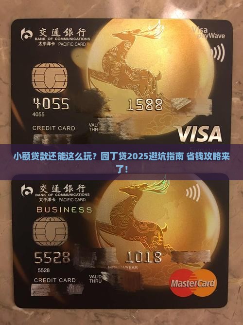 小额贷款园丁贷
