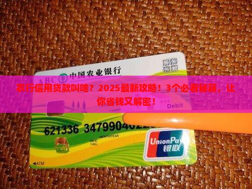 农行的信用贷款叫什么