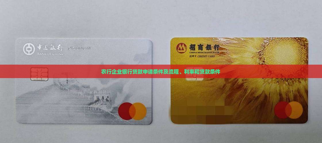 农行企业银行贷款