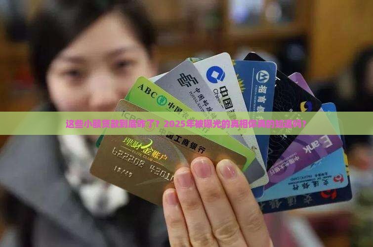 小额贷款哪些被打击了