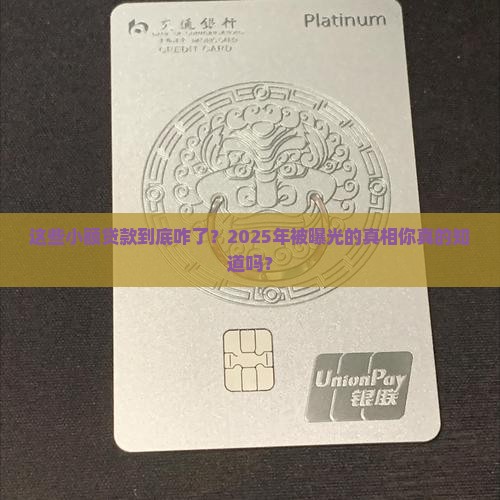 小额贷款哪些被打击了