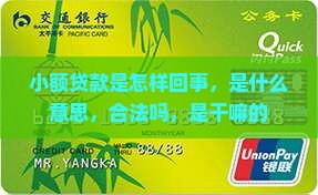 小额贷款是怎样回事