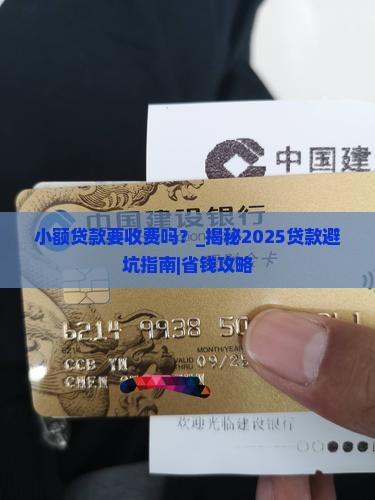 小额贷款要收费吗