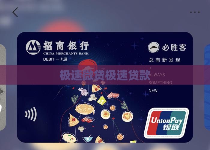 微贷极速贷款