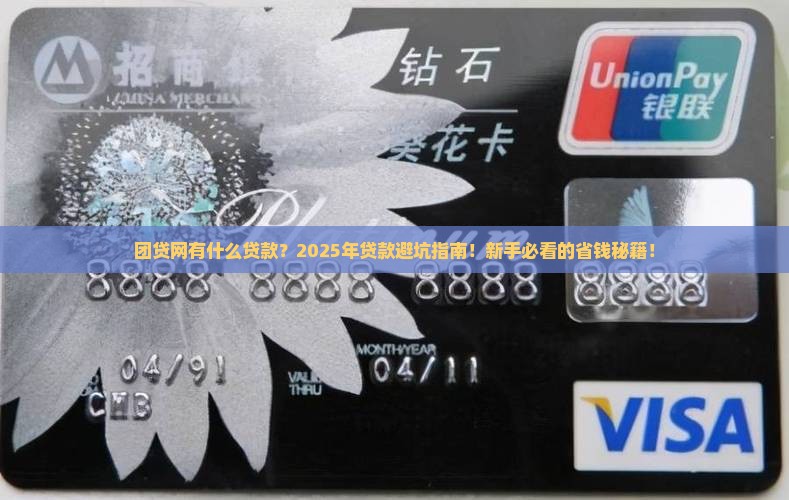 团贷网有什么贷款