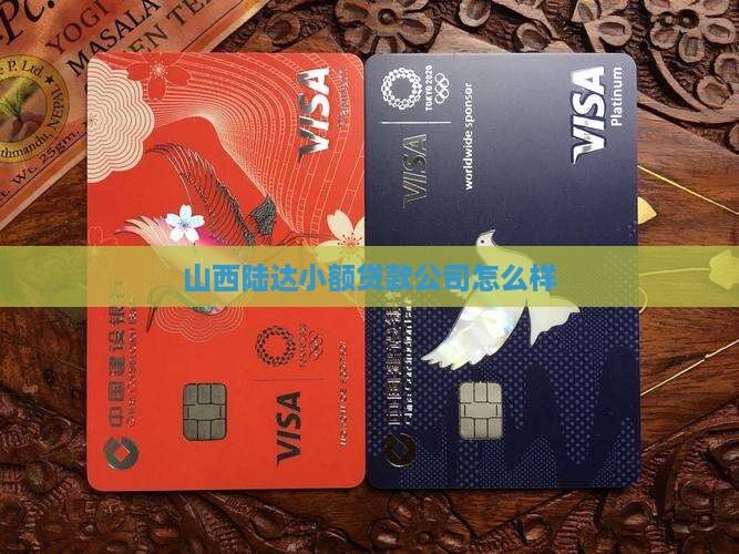 山西陆达小额贷款