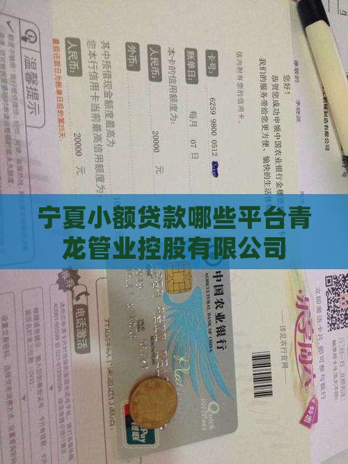 宁夏小额贷款有哪些平台