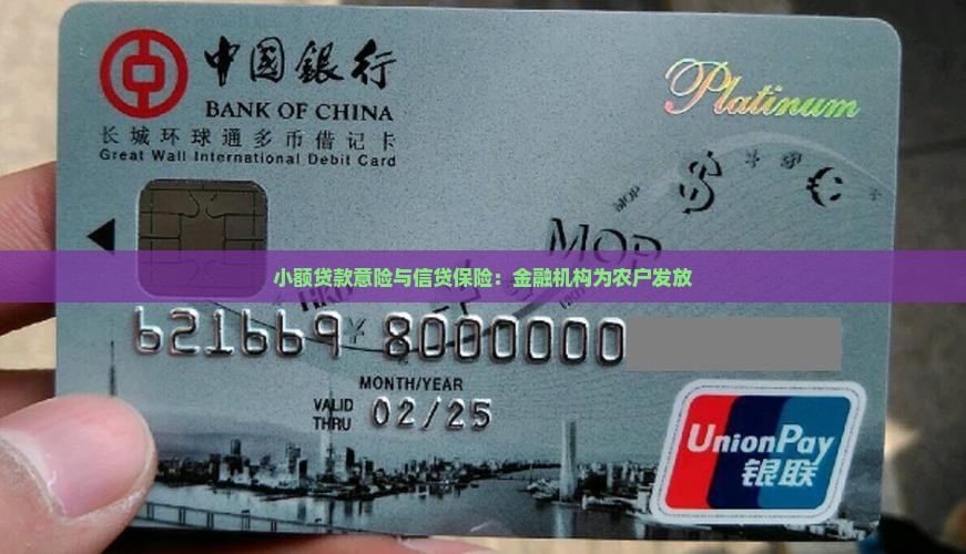 小额贷款借意险