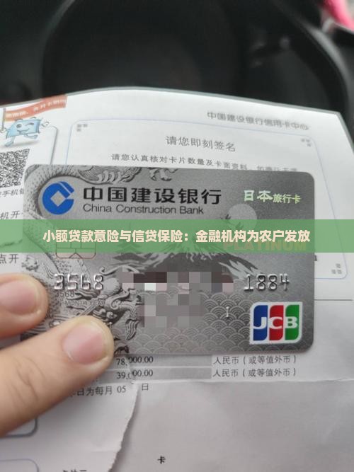 小额贷款借意险