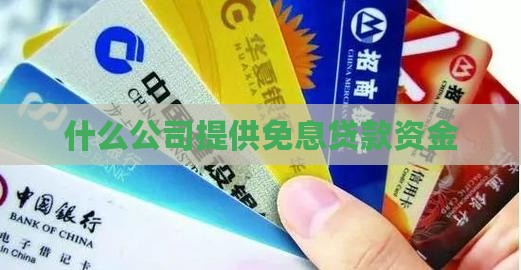 什么公司提供免息贷款资金