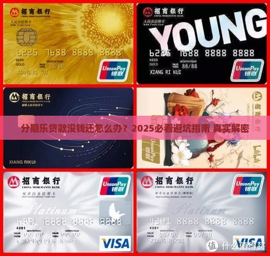 分期乐贷款没钱还怎么办