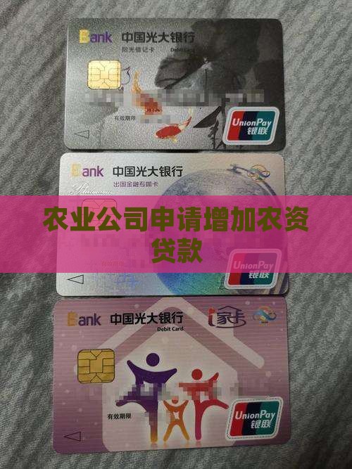 农资公司申请增加贷款
