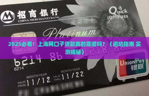 上海网口子贷款