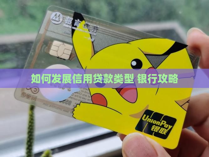 如何发展信用贷款