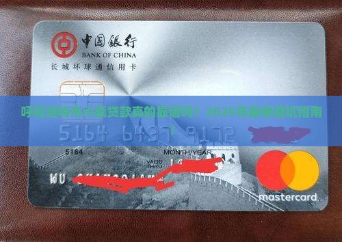 呼和浩特市小额贷款