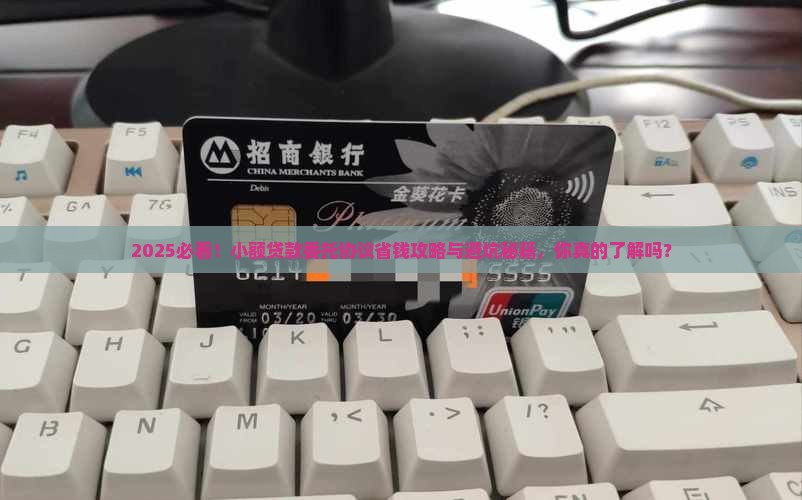 委托小额贷款协议