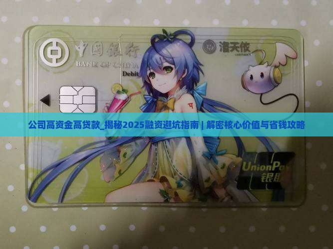公司高资金高贷款