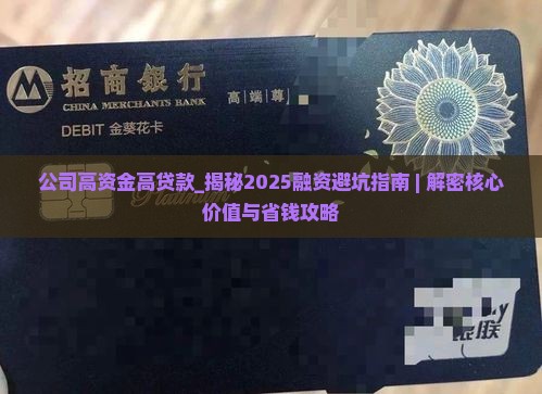 公司高资金高贷款