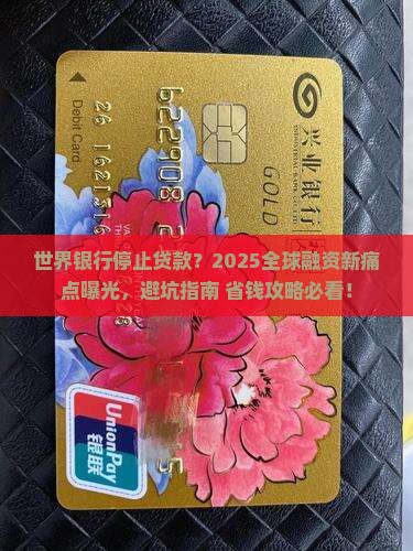 世界银行停止贷款