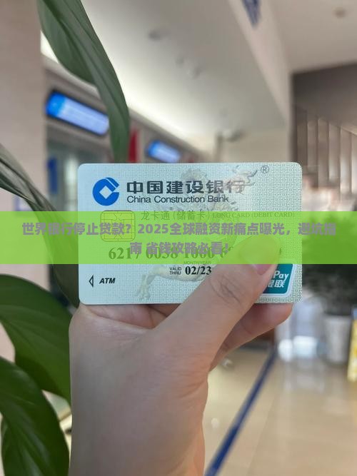 世界银行停止贷款