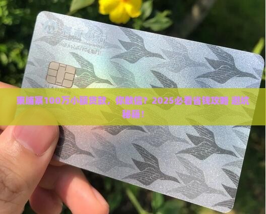 柬埔寨100万小额贷款