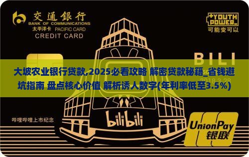 大坡农业银行贷款