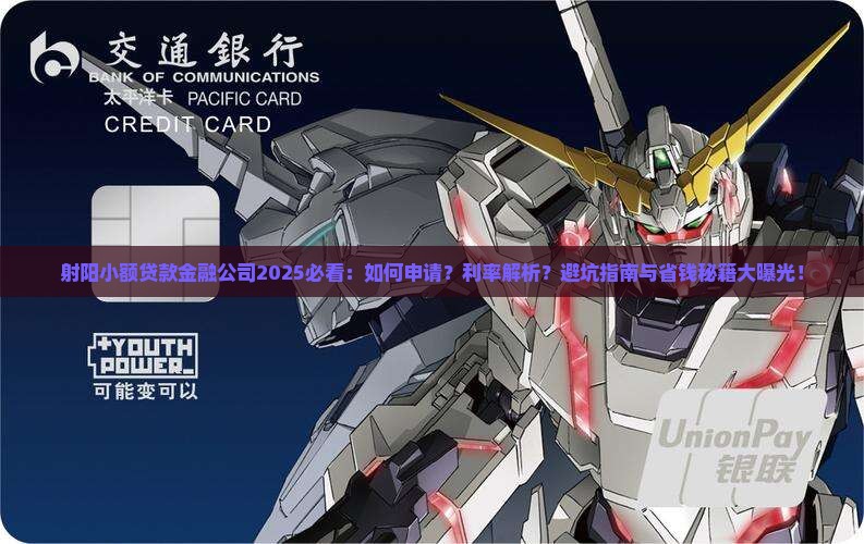 射阳小额贷款金融公司