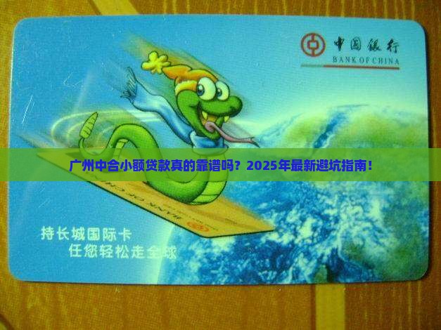 广州中合小额贷款