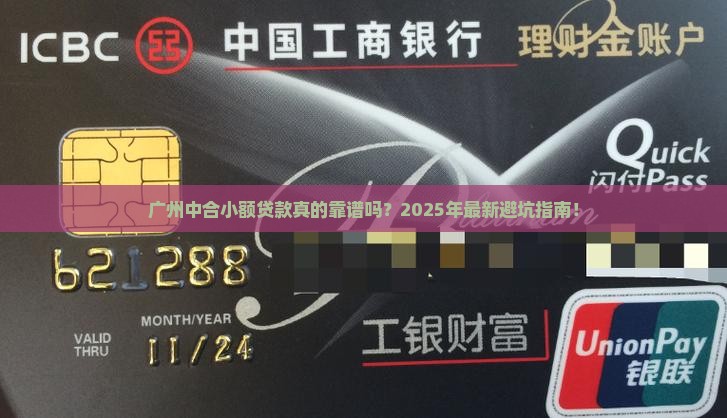广州中合小额贷款