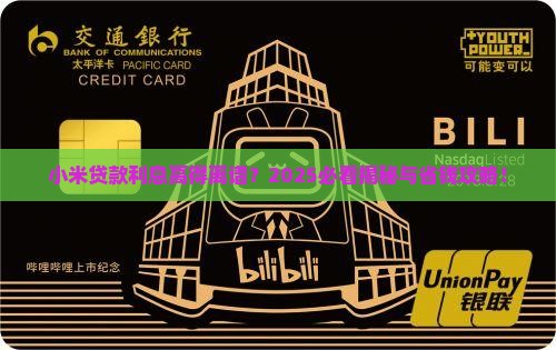小米贷款收高额利息