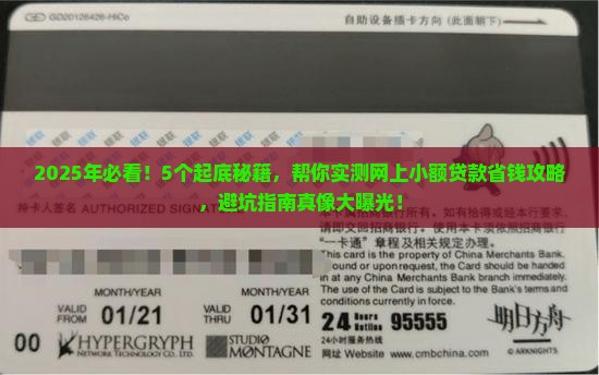 如何处理网上小额贷款