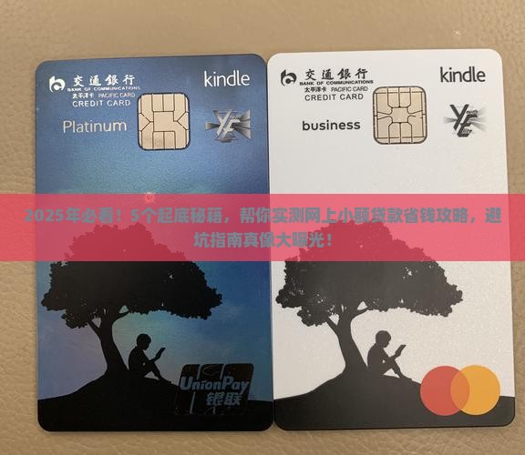 如何处理网上小额贷款