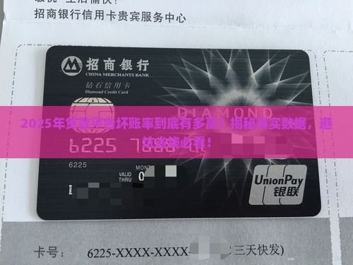 各种贷款平台坏账率多少