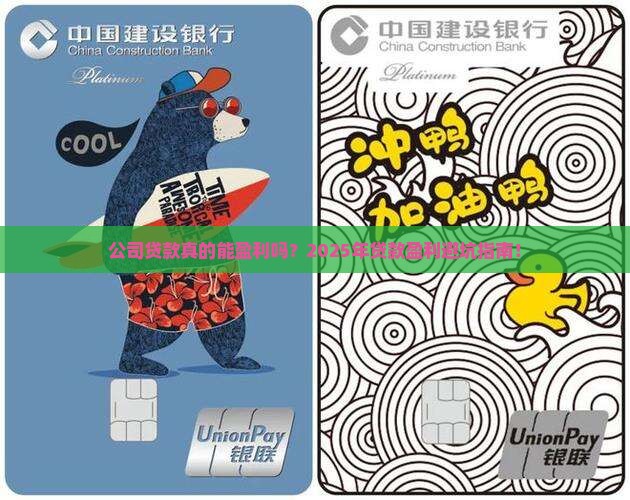 公司贷款盈利情况分析