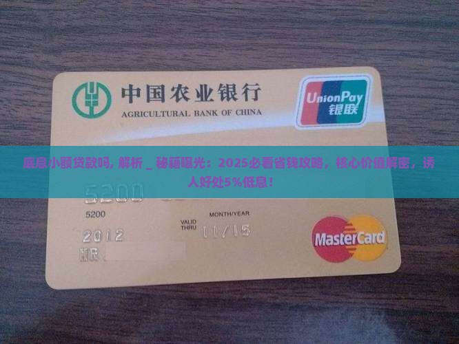 底息小额贷款吗