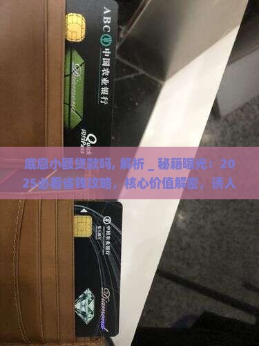 底息小额贷款吗