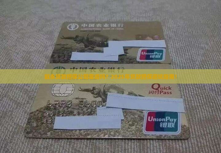 叙永贷款担保公司