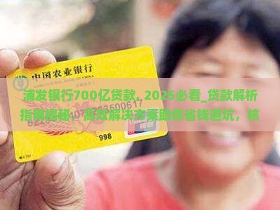 浦发银行700亿贷款