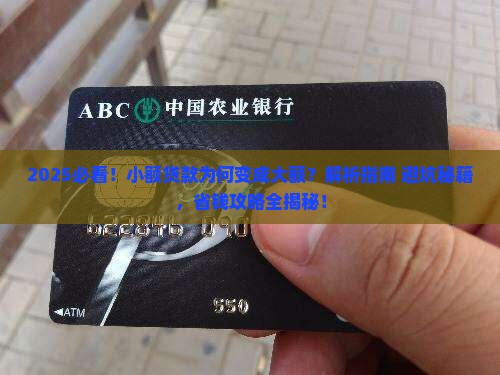 小额贷款变成大额了