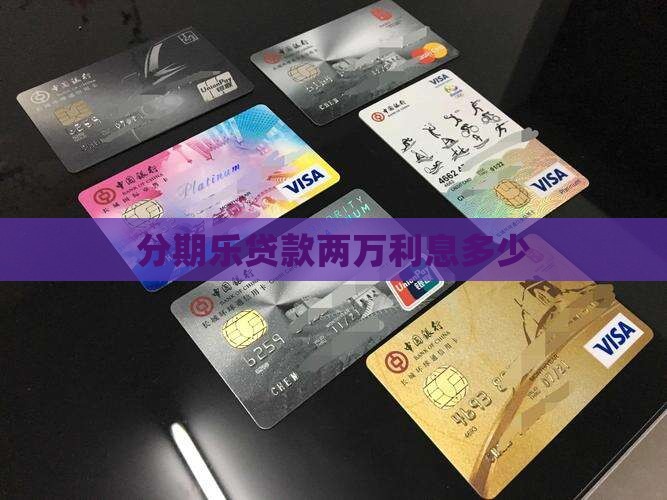 分期乐贷款两万利息多少